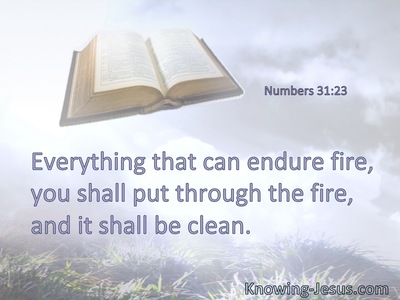 Everything that can endure fire, you shall put through the fire, and it shall be clean.